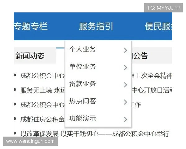 问鼎官网入口：官方入口的最新版本功能介绍与使用建议