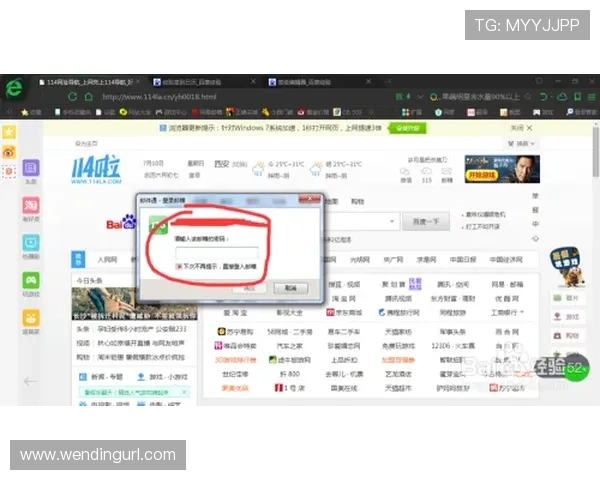 问鼎.cc浏览器入口官方下载最新版本，优化浏览速度提升用户体验
