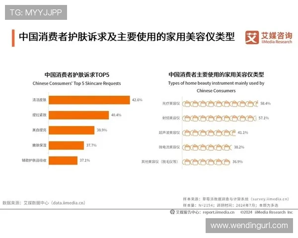 问鼎中国电子行业的市场份额提升策略与消费者需求洞察